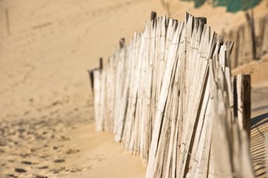 Fransa Atlantik sahilinde ahşap çit