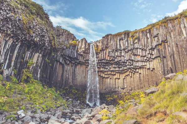 İzlanda'daki svartifoss şelale