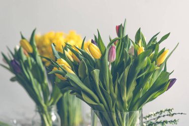 Çok renkli Lale çiçek buketleri