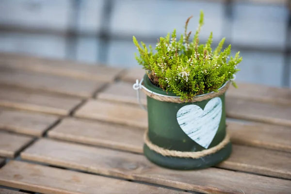 Panela verde com flor — Fotografia de Stock