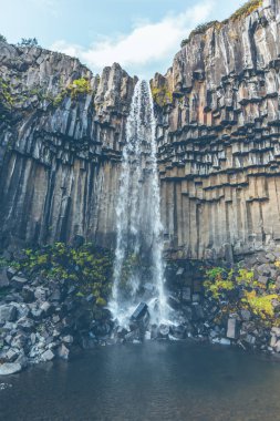 İzlanda'daki svartifoss şelale