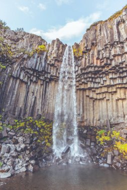 İzlanda'daki svartifoss şelale