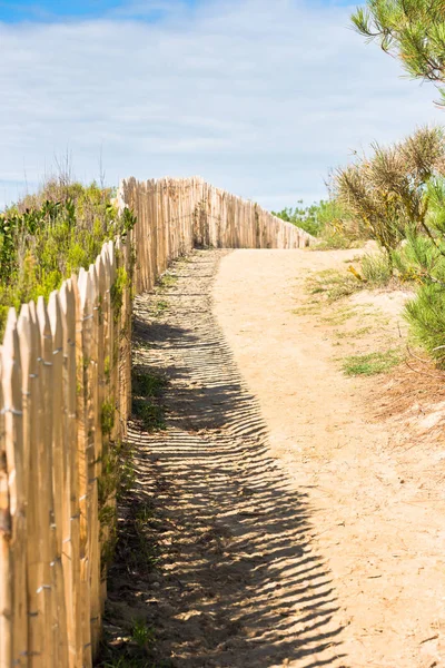 Деревянный забор на Атлантическом пляже во Франции — стоковое фото