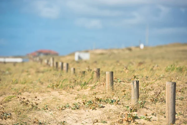 Starý dřevěný plot na pláži — Stock fotografie