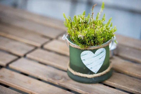 Panela verde com flores e coração — Fotografia de Stock