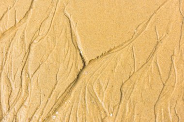 Deniz kum alt Üstten Görünüm