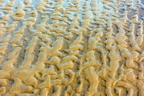 Ovanifrån av en sand havet botten — Stockfoto