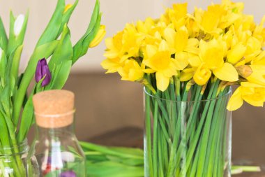 Cam vazoda sarı narcissuses buket
