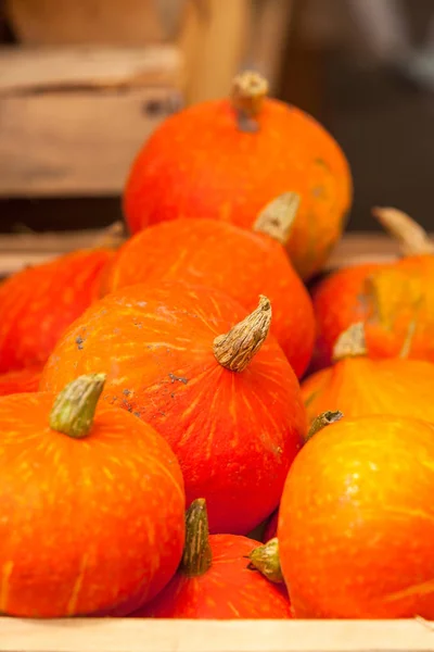 Orangene Kürbisse auf einem Markt. — Stockfoto