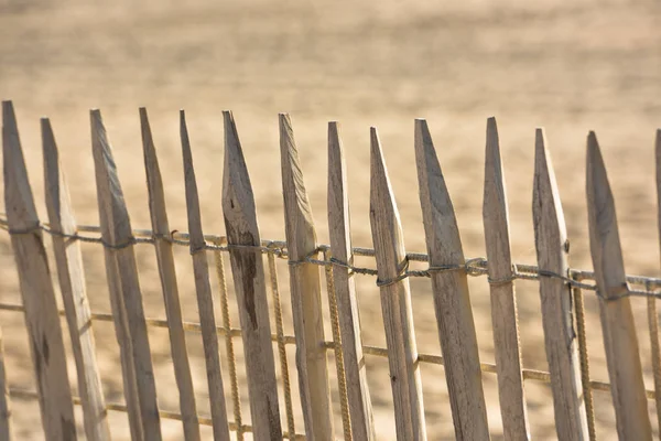 Wooden fence on Atlantic beach — Stock Photo, Image