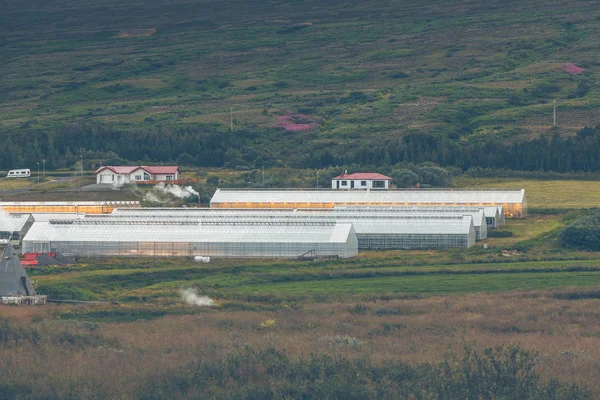 Geothermische Gewächshäuser in Island — Stockfoto