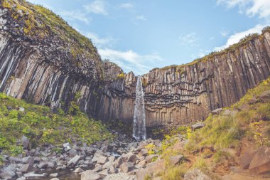 İzlanda'daki svartifoss şelale