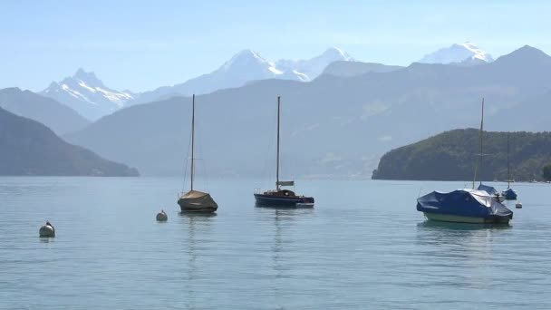 Boats floating on lake — Stock Video