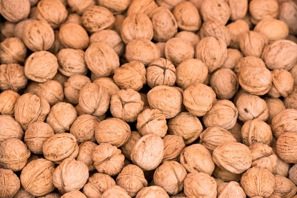 Many whole walnuts — Stock Photo, Image