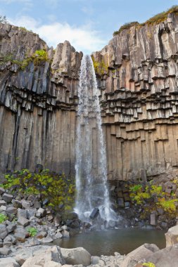 İzlanda'daki svartifoss şelale