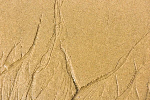 Gelber Sand an der Küste — Stockfoto