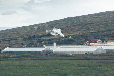 İzlanda'daki jeotermal seracılık