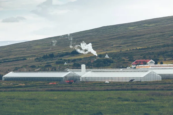 Геотермальные теплицы Исландии — стоковое фото