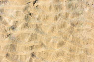 Deniz kum alt Üstten Görünüm