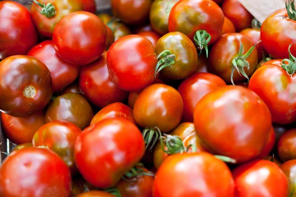 Venta de tomates en un mercado — Foto de Stock