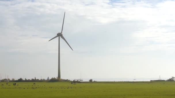 Landschap met werkende windturbine — Stockvideo