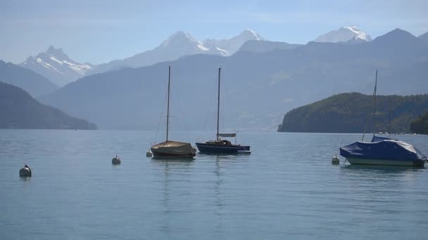 Boten drijvend op het meer van Thun Berner — Stockvideo