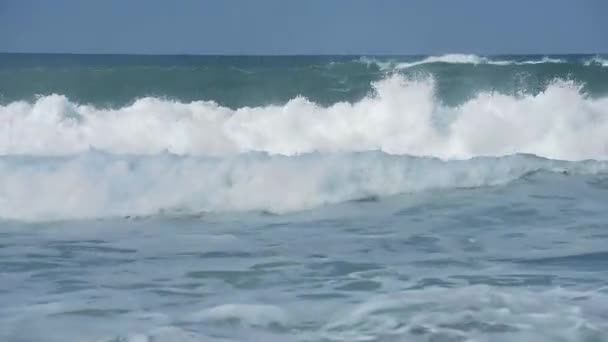 Waves on Atlantic ocean — Stock Video