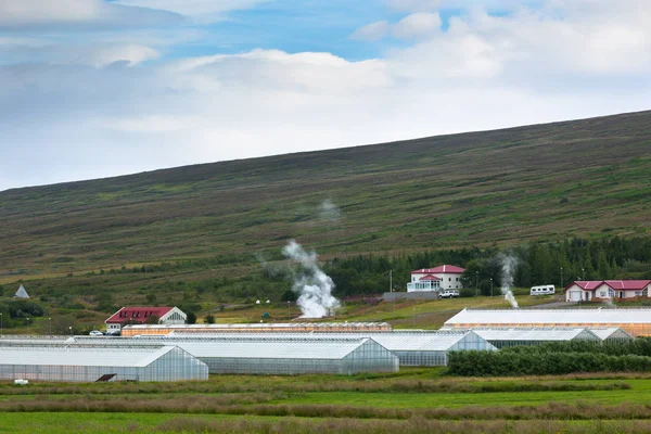 Invernaderos geotérmicos en Islandia —  Fotos de Stock