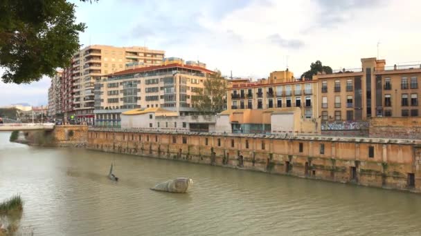 Der Fluss Segura und die Skulptur eines großen Fisches in Murcia, Spanien — Stockvideo