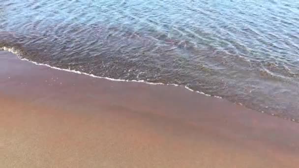 Video av Sand Beach med sea surf — Stockvideo