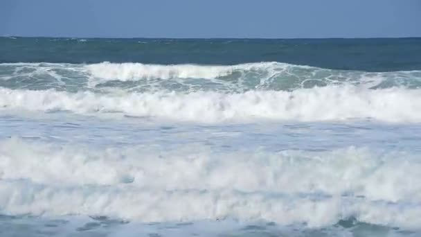 Video di Sand Atlantic Beach con surf sull'oceano — Video Stock