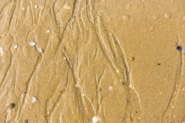 Top view of a sand sea bottom — Stock Photo, Image