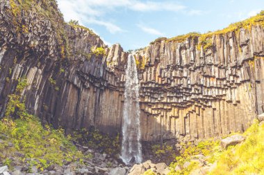 İzlanda'daki svartifoss şelale