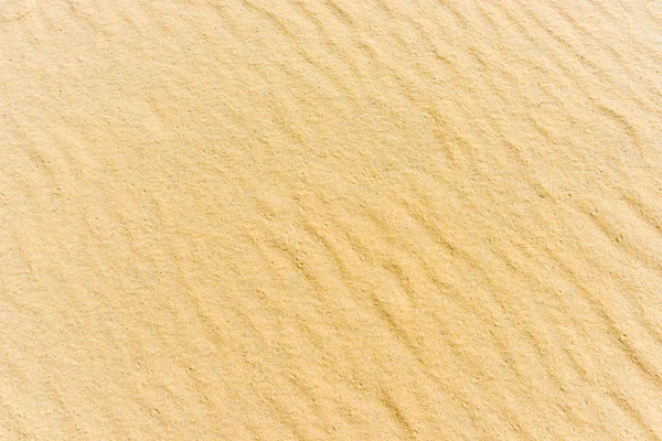 Ovanifrån av en sand havet botten — Stockfoto