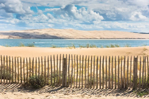 Bir dekorasyon olarak turuncu kabak