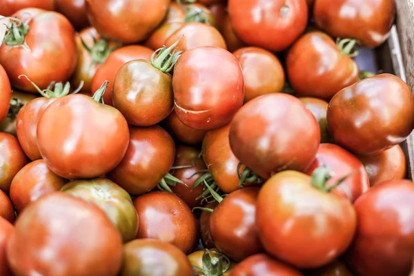 Tomatoes selling in a market — Stock Photo, Image