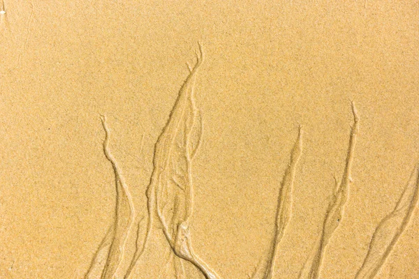 Vue de dessus d'un fond de mer de sable — Photo