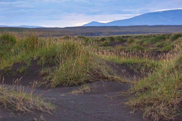 Black Volcanic Ash Dunes in Iceland — Stock Photo, Image