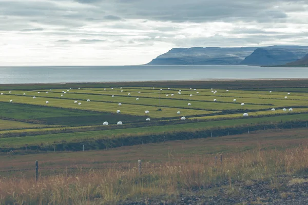 アイスランドの緑の野原に白い干し草ロールします。 — ストック写真