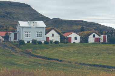 Beyaz Siding İzlanda evleri