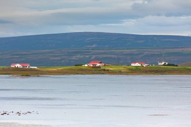 North Iceland'deki / sahil peyzaj