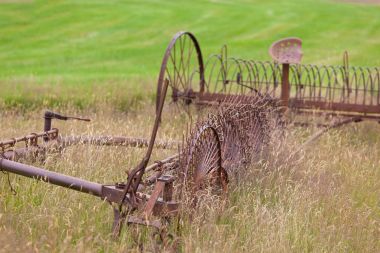 Rusty İzlanda sahada pulluklar