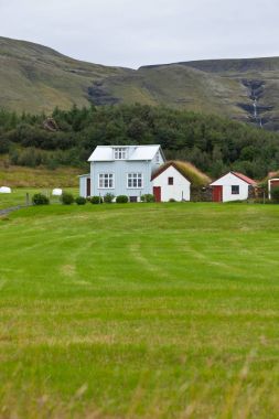 Beyaz Siding İzlanda evleri