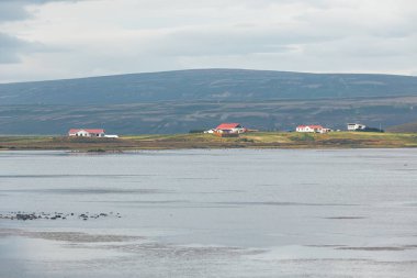 North Iceland'deki / sahil peyzaj