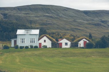 Beyaz Siding İzlanda evleri