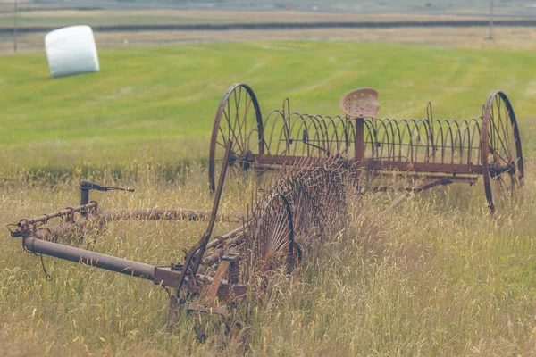 Rusty arados em um campo da Islândia — Fotografia de Stock