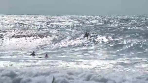 Silhouette di surfisti sulle onde dell'oceano Atlantico nei pressi di Capbreton, Francia — Video Stock