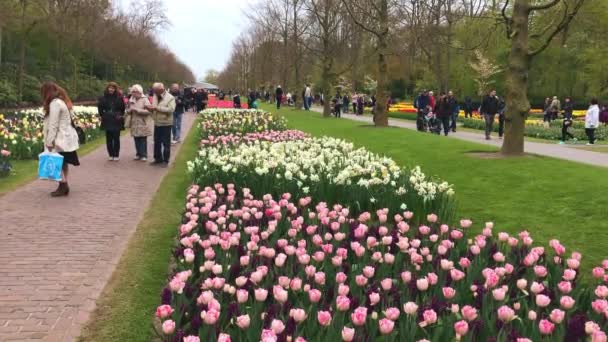 Turistas desfrutar de sua visita no parque Keukenhofflower — Vídeo de Stock