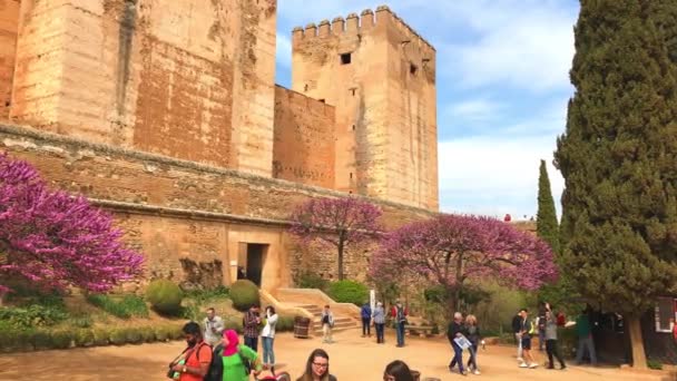 Οι τουρίστες επισκέπτονται της Αλάμπρα palacein Γρανάδα, Ισπανία — Αρχείο Βίντεο