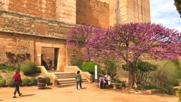 Turistas que visitan el Palacio de la Alhambra en Granada, España — Vídeo de stock